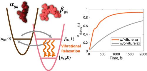 Vibrational Relaxation Completes the Excitation Energy Transfer and Localization of Vibronic Excitons in Allophycocyanin α84-β84