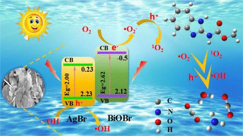 Efficient Preparation of S-Scheme Ag/AgBr/BiOBr Heterojunction Photocatalysts and Implications for Degradation of Carbendazim: Mechanism, Pathway, and Toxicology