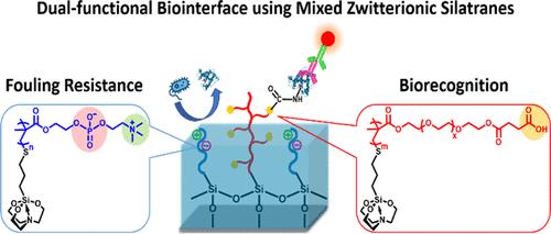 Development of Functional Biointerface Using Mixed Zwitterionic Silatranes