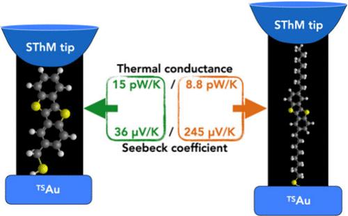 Thermoelectric Properties of Benzothieno-Benzothiophene Self-Assembled Monolayers in Molecular Junctions