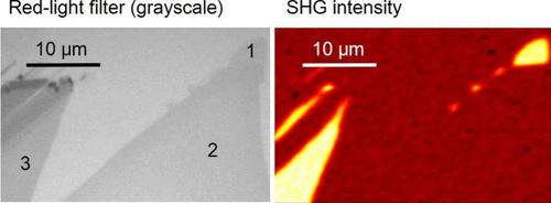 Accurate Layer-Number Determination of Hexagonal Boron Nitride Using Optical Characterization