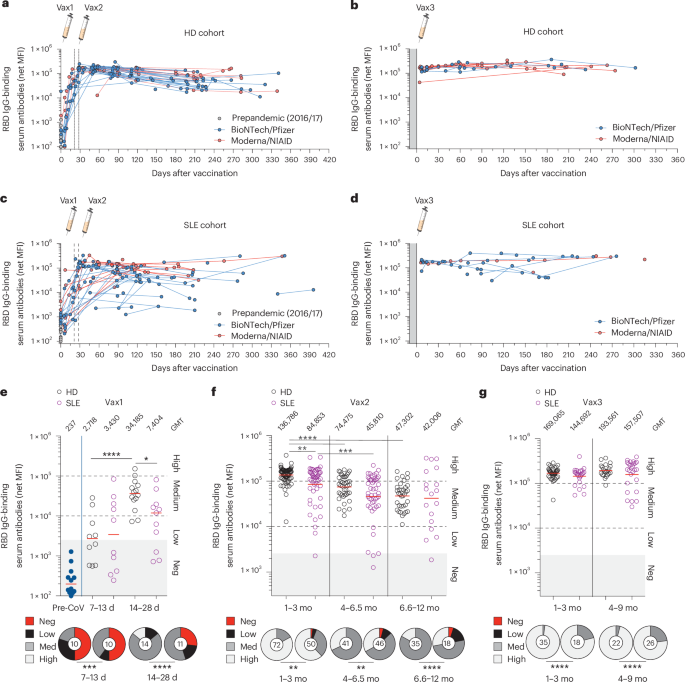 Disease-associated B cells and immune endotypes shape adaptive immune responses to SARS-CoV-2 mRNA vaccination in human SLE