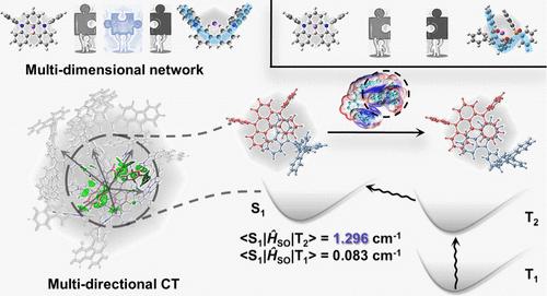 Short-Range Coulomb Interaction Is a Key to Switch the Utilization of Higher Triplet Excitons in Multiresonance Thermally Activated Delayed Fluorescence Doped Film