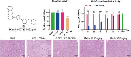 Discovery of phenazine derivatives as a new class of non-classical ferroptosis inhibitors and efficacy evaluation on a mouse model of liver injury