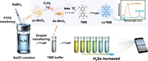 Selenium Hydride-Induced Oxidase-like Activity Inhibition of Amorphous/Crystalline Manganese Dioxide: Colorimetric Assay for Selenium Detection