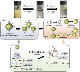 Thermally regulated flocculation-coalescence process by temperature-responsive cationic polymeric surfactant for enhanced crude oil-water separation