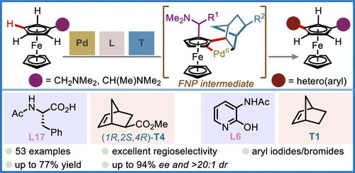 Enantioselective Synthesis of Ferrocene 1,3-Derivatives via Palladium/Norbornene Cooperative Catalysis