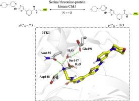 Identification of bioactive compounds with popular single-atom modifications: Comprehensive analysis and implications for compound design