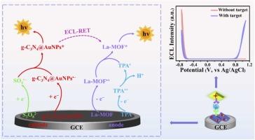 Dual-signal immunosensor based on aggregation-induced electrochemiluminescence resonance energy transfer of La-MOF and low cathodic excitation potential of g-C3N4@AuNPs for the quantitation of human serum amyloid A