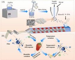 Large-scale dual-responsive ClO2 controlled-release film for strawberry preservation