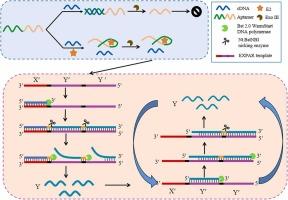 An ultrasensitive fluorescent strategy for 17β-estradiol based on aptamer and isothermal exponential amplification reaction