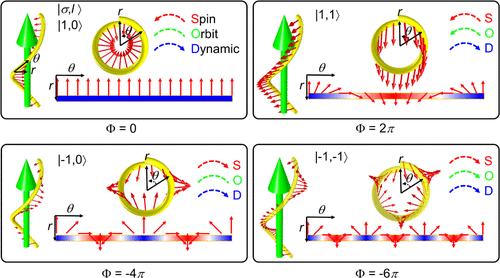 Interplay between Dynamic Phase and Geometric Phase Determines the Circular Dichroism and Helical Dichroism