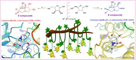 Enantiomeric C-6 fluorinated swainsonine derivatives as highly selective and potent inhibitors of α-mannosidase and α-l-rhamnosidase: Design, synthesis and structure-activity relationship study