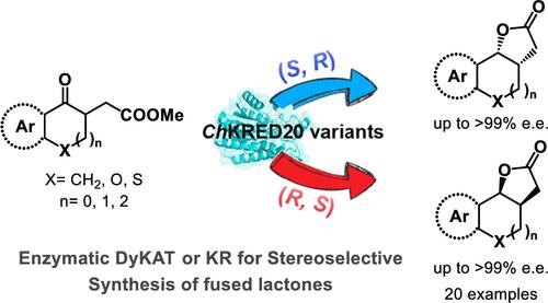 Reversing the Enantioselectivity of Enzymatic Dynamic Kinetic Asymmetric Transformations in the Synthesis of Fused Lactones