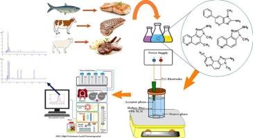 Three liquid phase membrane extraction method based on the electro-migration assisted by high-performance liquid chromatography for the analysis of carcinogenic heterocyclic aromatic amines in steak samples