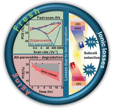 Impact of Ion Migration on the Performance and Stability of Perovskite-Based Tandem Solar Cells