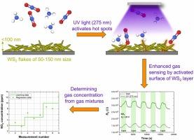 UV light-activated gas mixture sensing by ink-printed WS2 layer