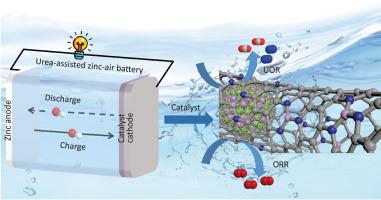 Co–doped nitrogenated carbon nanotubes encapsulating CoNi alloys as bifunctional catalysts for urea-assisted rechargeable Zn-air battery