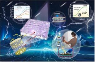 A diode-like integrated hydrogel for piezoionic generators and sensors