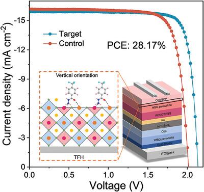 Dual-Site Anchors Enabling Vertical Molecular Orientation for Efficient All-Perovskite Tandem Solar Cells