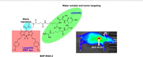 Synthesis and evaluation of a novel BODIPY fluorescent probe targeting integrin αvβ3 for cancer diagnosis