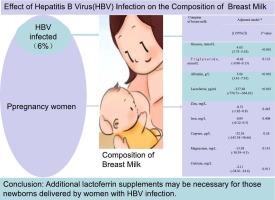 Effect of hepatitis B virus infection on the nutrient composition of human breast milk: A prospective cohort study