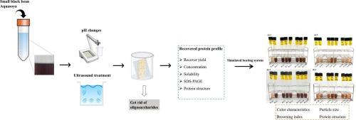 Optimizing aquasoya protein: Insights of various pre-treatments for enhancing the upcycling potential from small black bean by-product