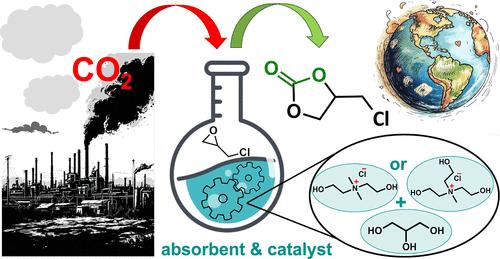 Development of Multifunctional Choline-Like Ionic Solvents for Ammonia and Carbon Dioxide Capture and Transformation of Latter