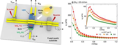 On-Chip Terahertz Spectroscopy for Dual-Gated van der Waals Heterostructures at Cryogenic Temperatures