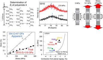 Microstructure and Crystal Modulus of Polyamide 4 α-form in the Direction Parallel to the Chain Axis