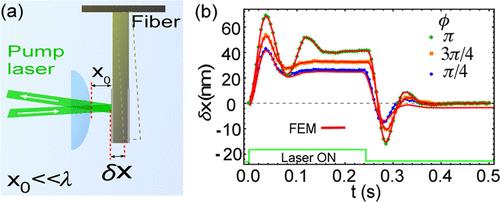 Nanogap-Induced Phase Control Reveals the Momentum of Light Inside the Dielectric Medium