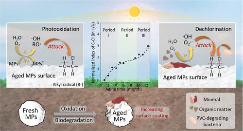 Aging Dynamics of Polyvinyl Chloride Microplastics in Three Soils with Different Properties
