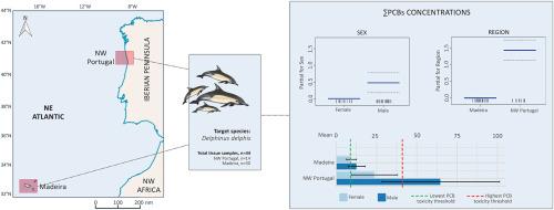 Beyond the threshold - Different accumulation of organochlorine compounds in common dolphins (Delphinus delphis) inhabiting continental and insular ecosystems in the Northeast Atlantic