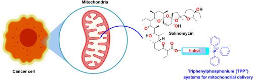 Anticancer activity of salinomycin quaternary phosphonium salts