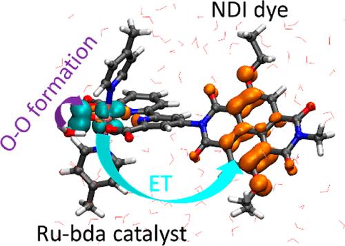 Hybrid-DFT Molecular Dynamics Simulations of Photocatalytic Water Oxidation in a [Ru-bda]–Dye Complex