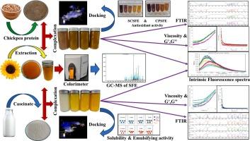 Functional, structural, and rheological properties of the complexes containing sunflower petal extract with dairy and plant-based proteins