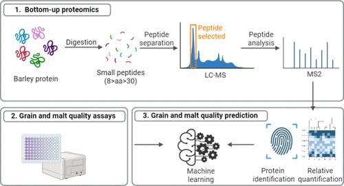 Barley Grain Proteome Assessment Using Multi-Environment Trial Data and Machine Learning