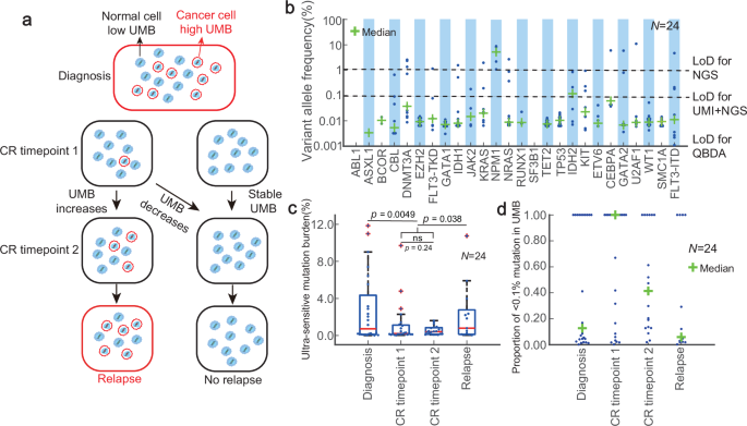 Longitudinal ultra-sensitive mutation burden sequencing for precise minimal residual disease assessment in AML