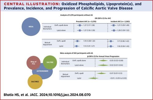 Oxidized Phospholipids and Calcific Aortic Valvular Disease