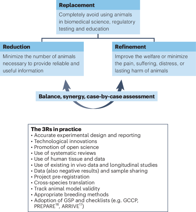 Toward a common interpretation of the 3Rs principles in animal research