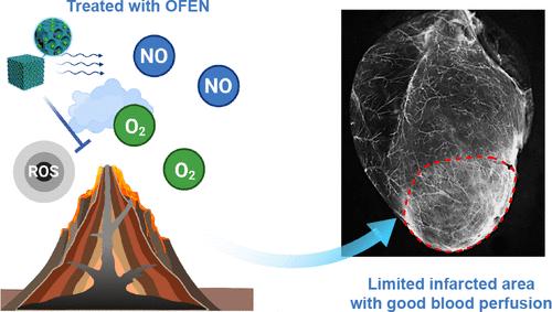 Peroxynitrite-Free Nitric Oxide-Embedded Nanoparticles Maintain Nitric Oxide Homeostasis for Effective Revascularization of Myocardial Infarcts