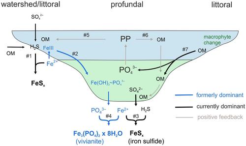 Rapid Eutrophication of a Clearwater Lake: Trends and Potential Causes Inferred From Phosphorus Mass Balance Analyses