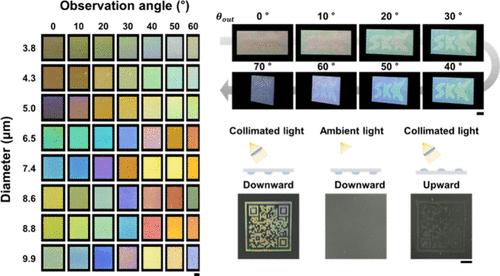 High-Resolution Total Internal Reflection-Based Structural Coloration by Electrohydrodynamic Jet Printing of Transparent Polyethylene Glycol Microdomes.