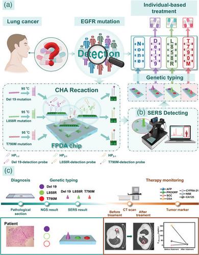 Precise Genotyping Via Surface-Enhanced Raman Spectroscopy-Based Optical Sensing Chip for Guiding Targeted Therapy in Lung Cancer