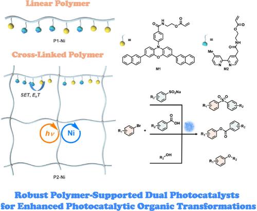 Integration of N-Aryl Phenoxazine Photosensitizers and Nickel Catalysts in Polymer Supports Enhances Photocatalytic Organic Transformations