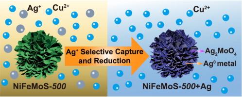 Polymetallic sulfide MSx (M = Ni, Fe, and Mo) microspheres for highly selective extraction of Ag+ over Cu2+ and reduction of Ag+ ions to Ag0 metals