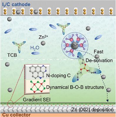 Crystallographic Reorientation Induced by Gradient Solid-Electrolyte Interphase for Highly Stable Zinc Anode