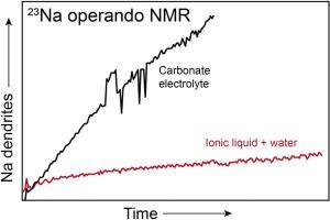 Studying the growth and morphology of metal microstructures in sodium metal batteries with ionic liquid electrolytes by operando 23Na NMR spectroscopy