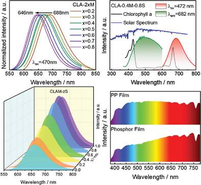 Enhanced Stability and Brightness through Co‐Substitution: Promoting Plant Growth with Green‐Excited Deep Red Phosphor Ca1‐zSrzLi1‐xMg2xAl3‐xN4:yEu2+