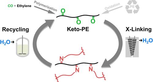 Circular Cross-Linked Polyethylene Enabled by In-Chain Ketones.